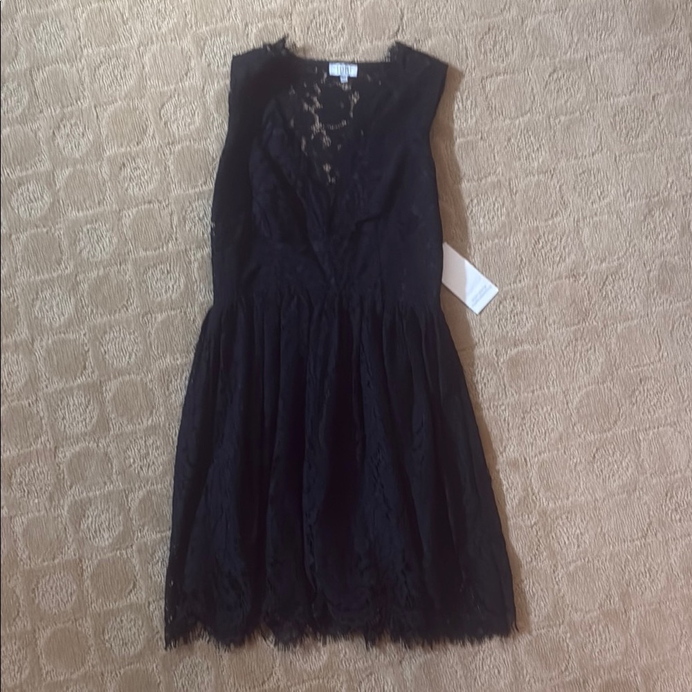 Tobi Black Lace Mini Dress